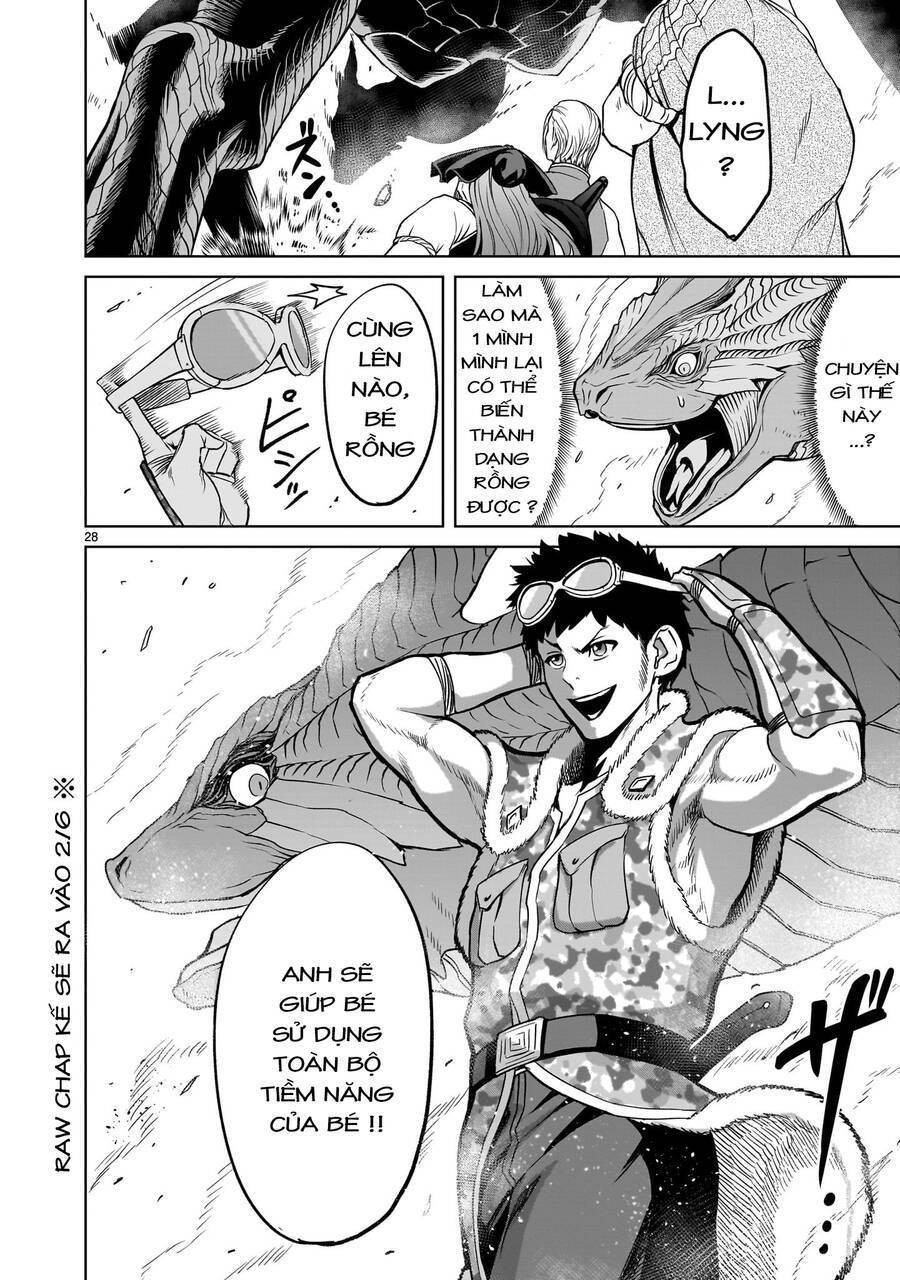 Vườn hoa hồng Saga 