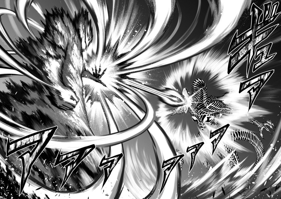 Vườn hoa hồng Saga 