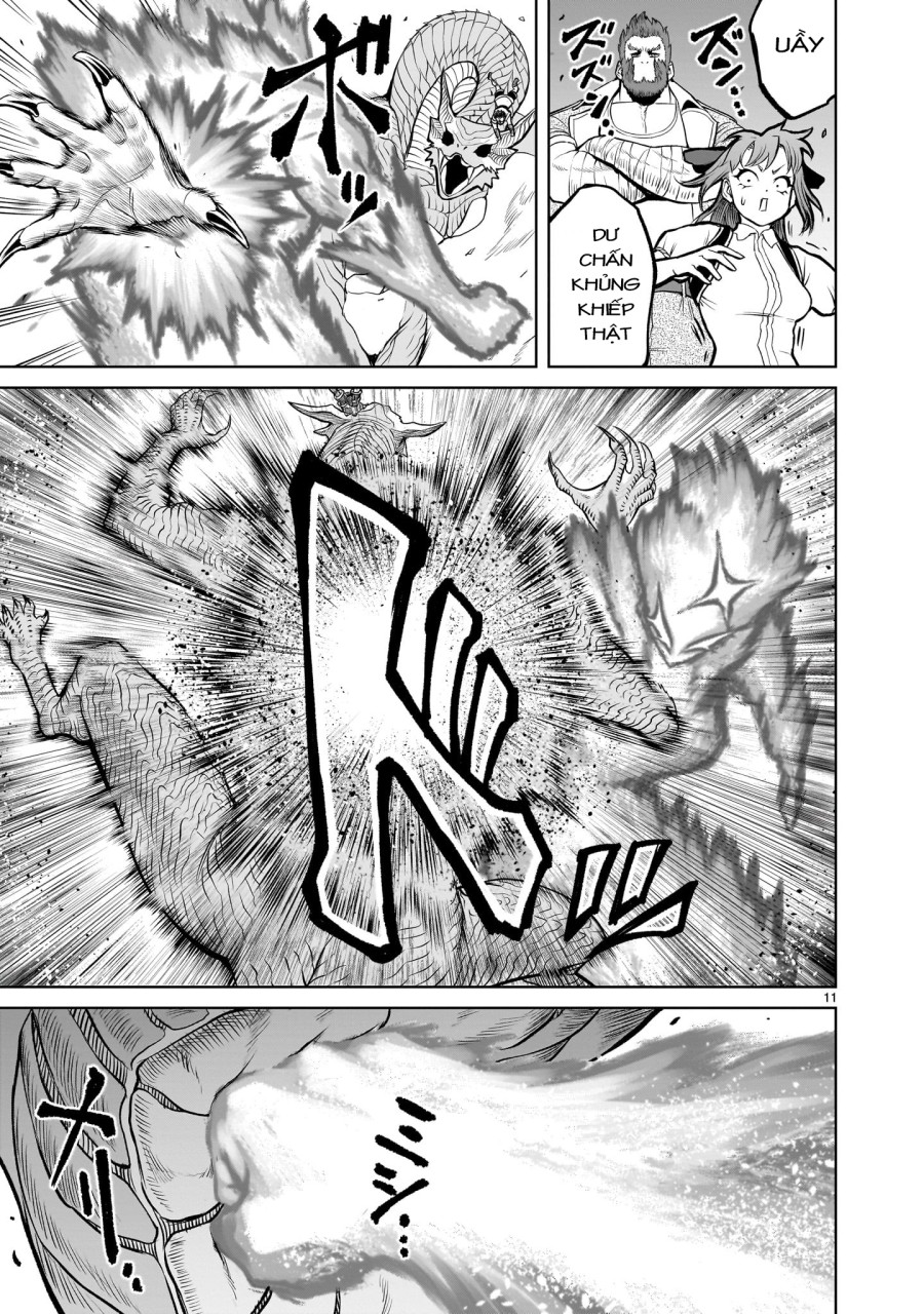 Vườn hoa hồng Saga 