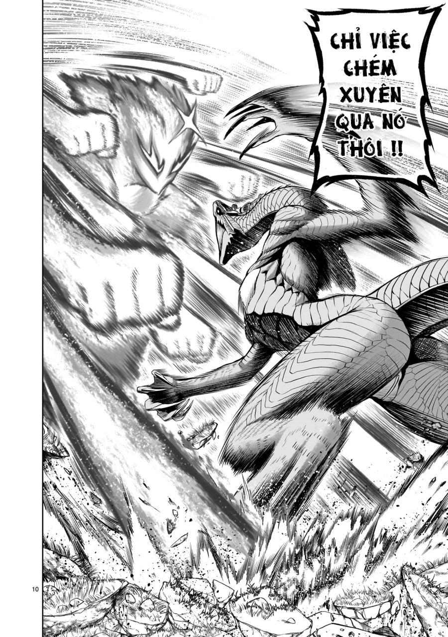 Vườn hoa hồng Saga 