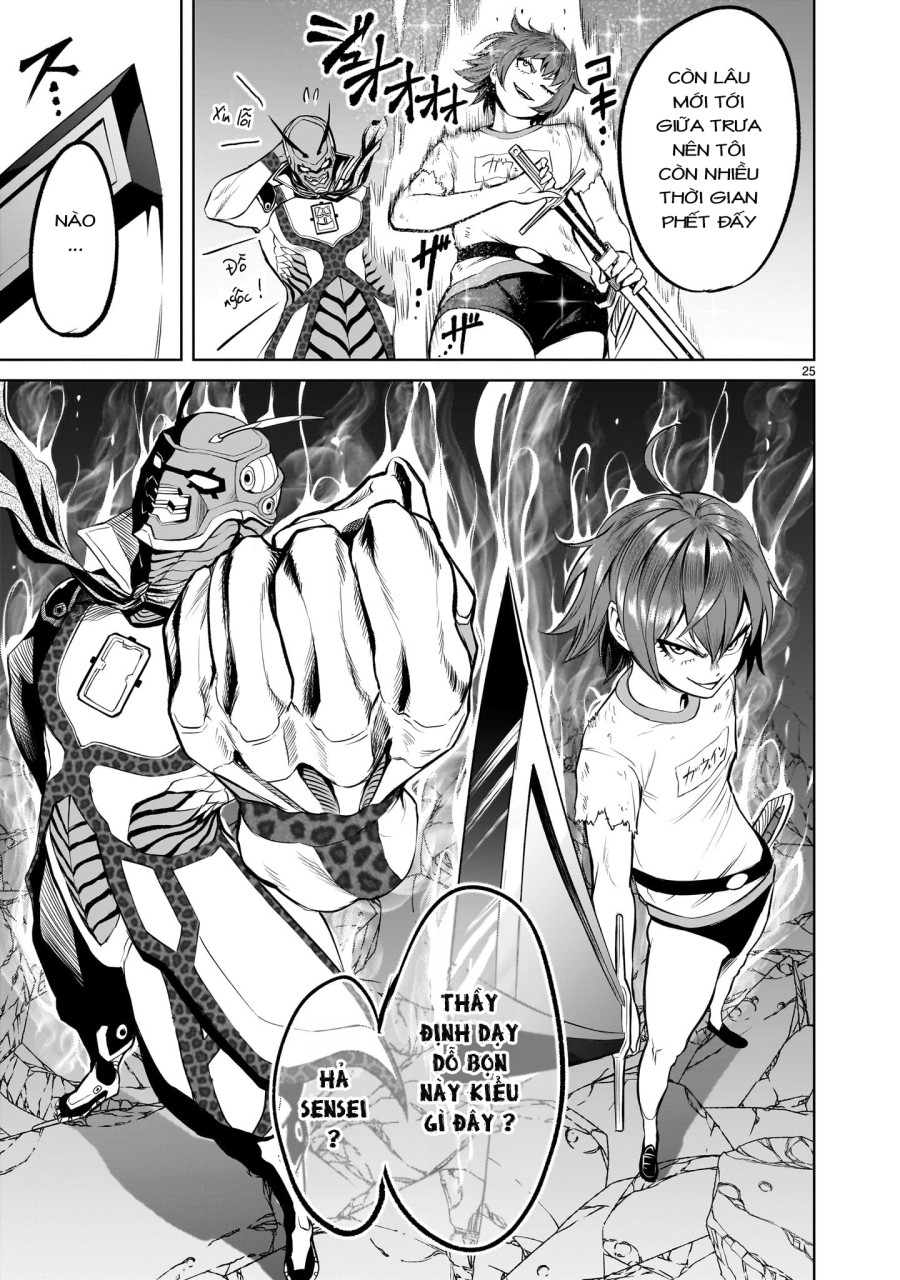 Vườn hoa hồng Saga 