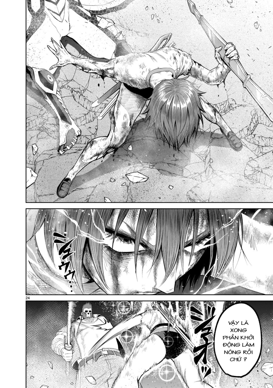 Vườn hoa hồng Saga 