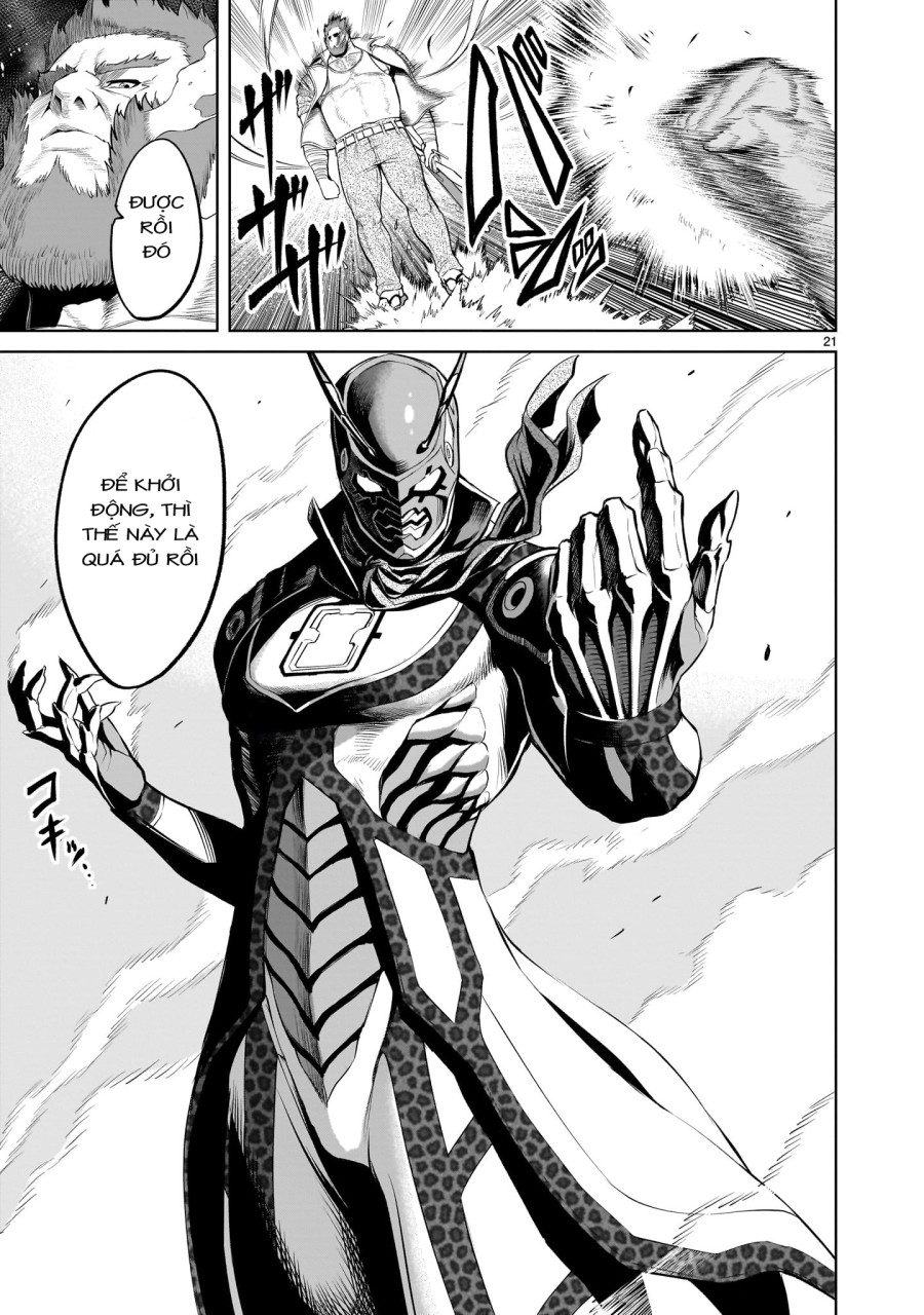 Vườn hoa hồng Saga 