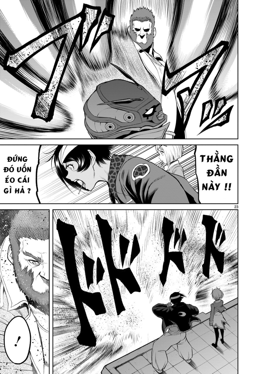 Vườn hoa hồng Saga 