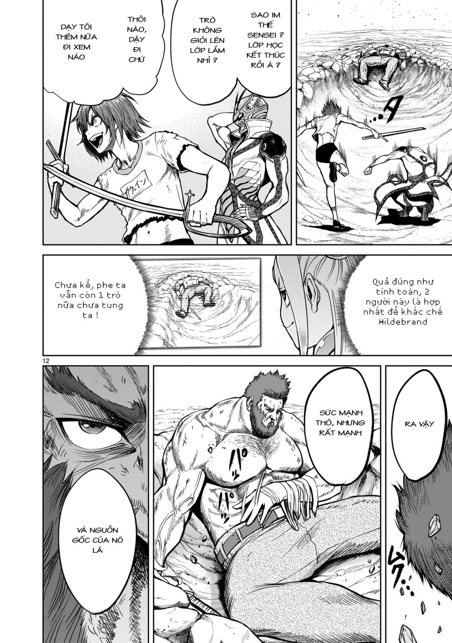 Vườn hoa hồng Saga 