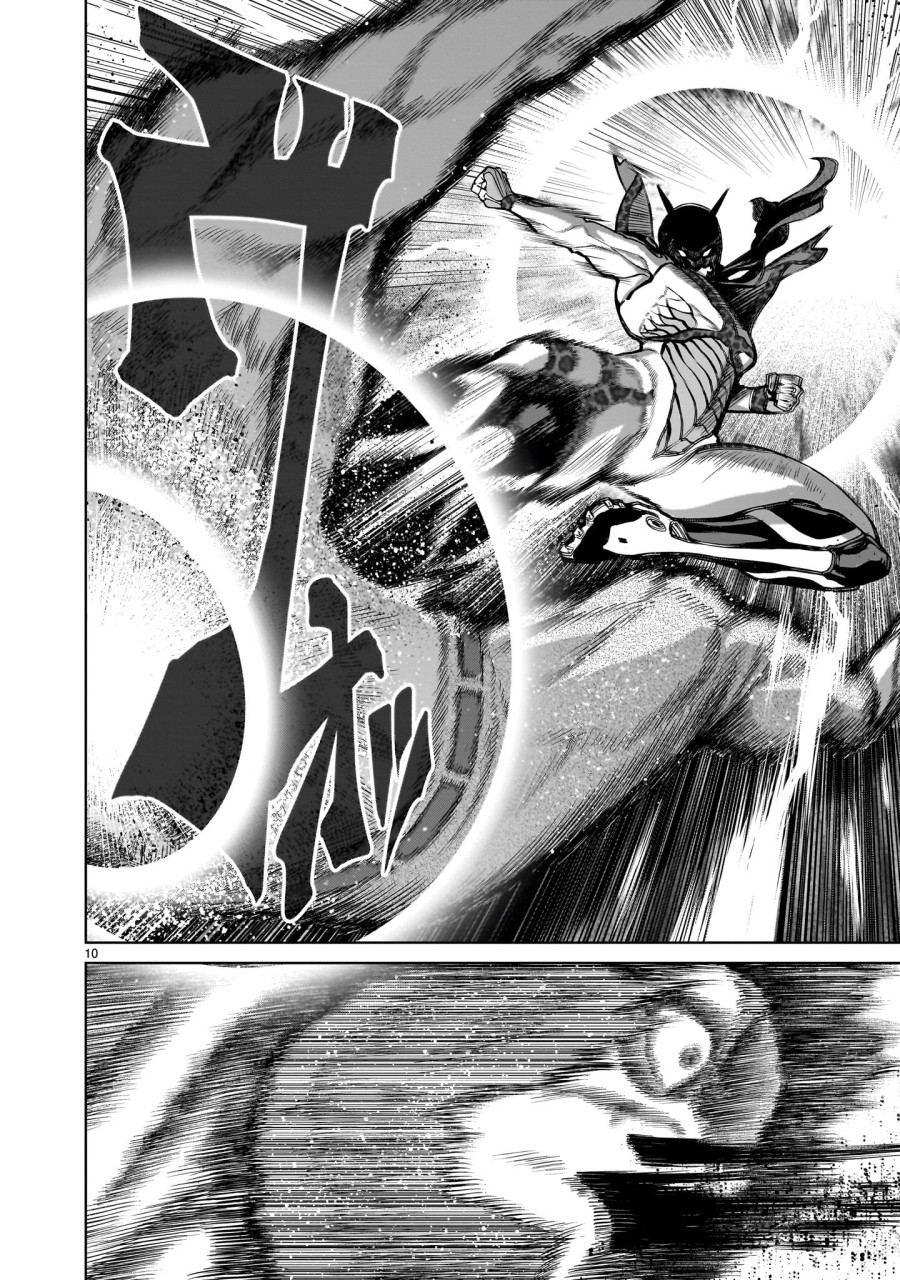Vườn hoa hồng Saga 