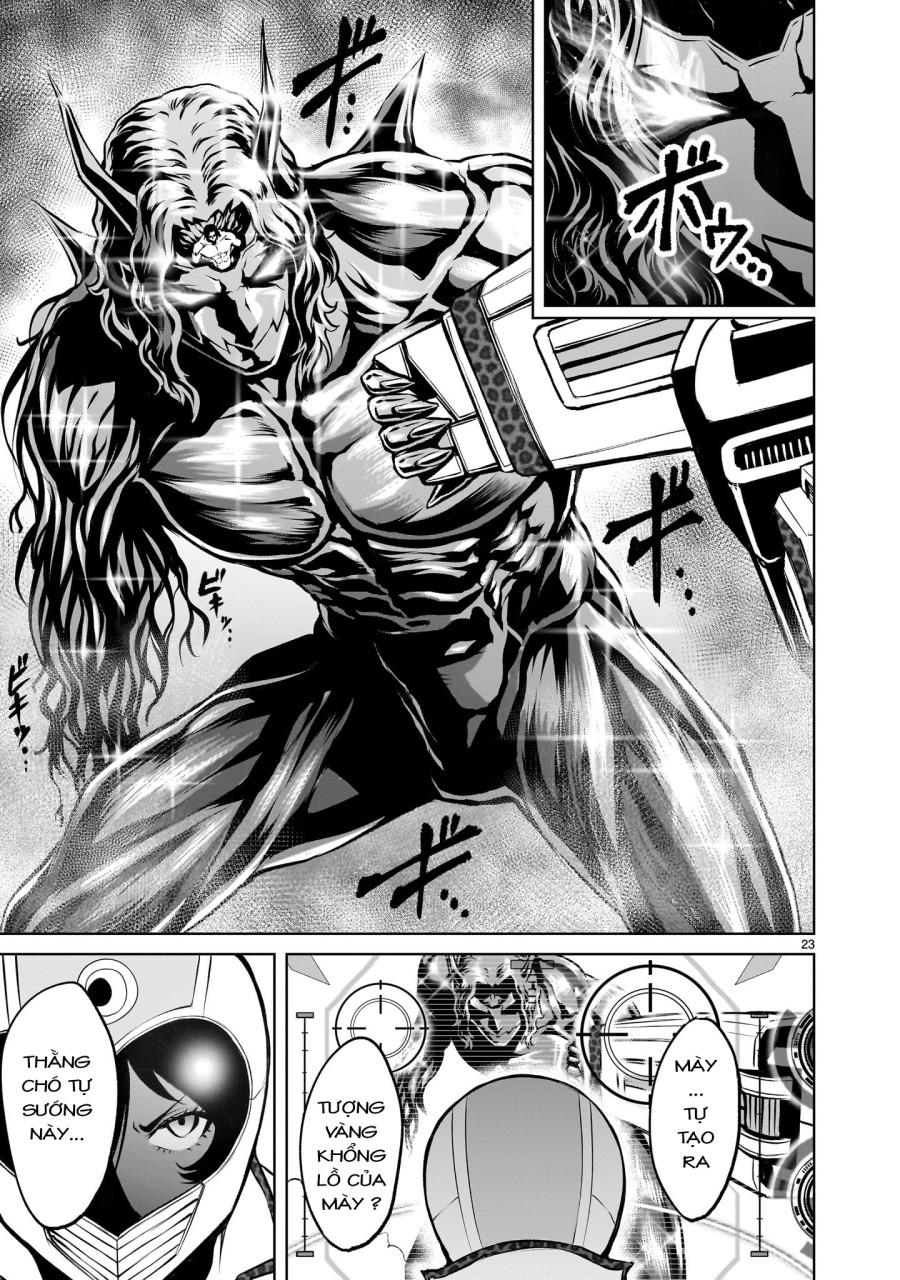 Vườn hoa hồng Saga 