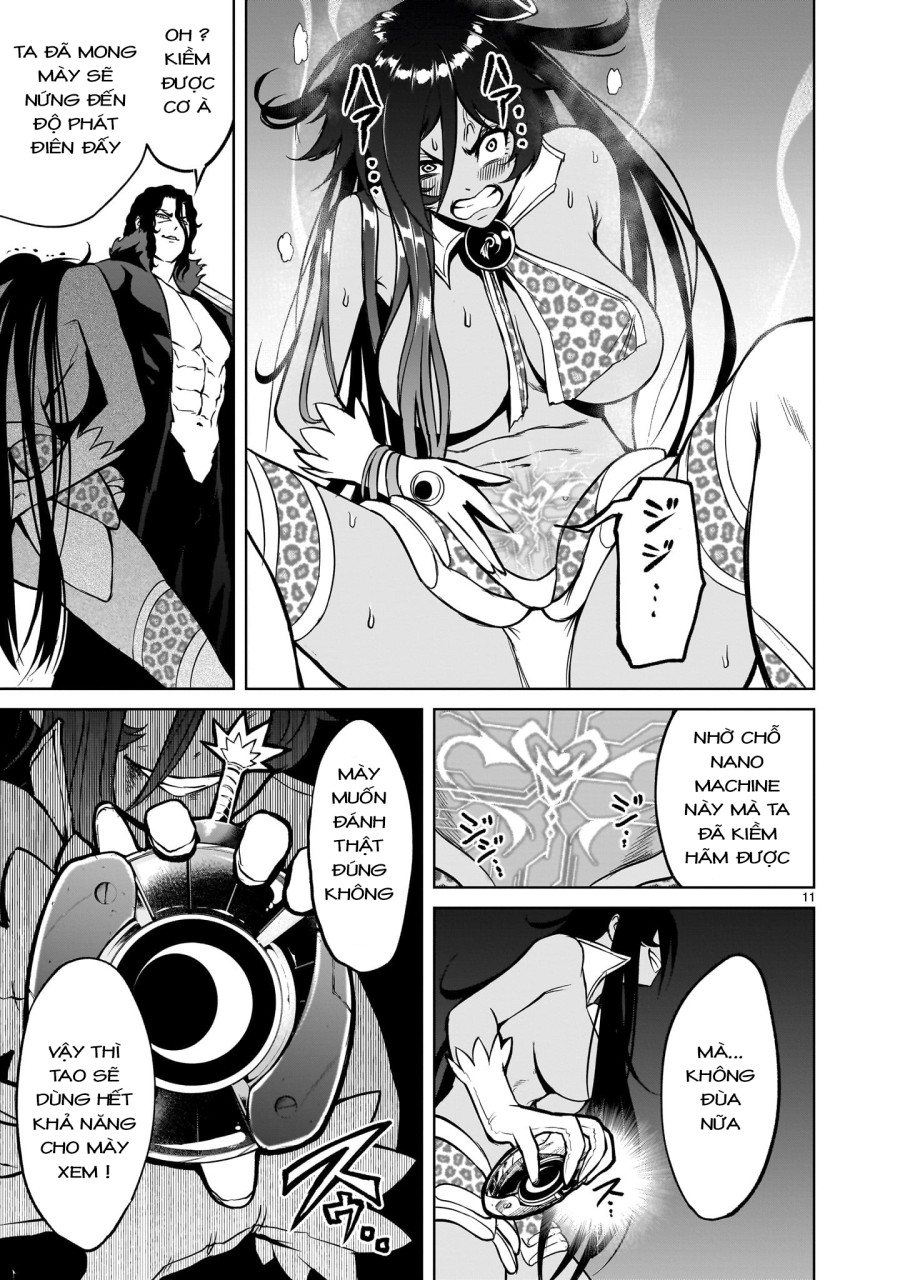 Vườn hoa hồng Saga 