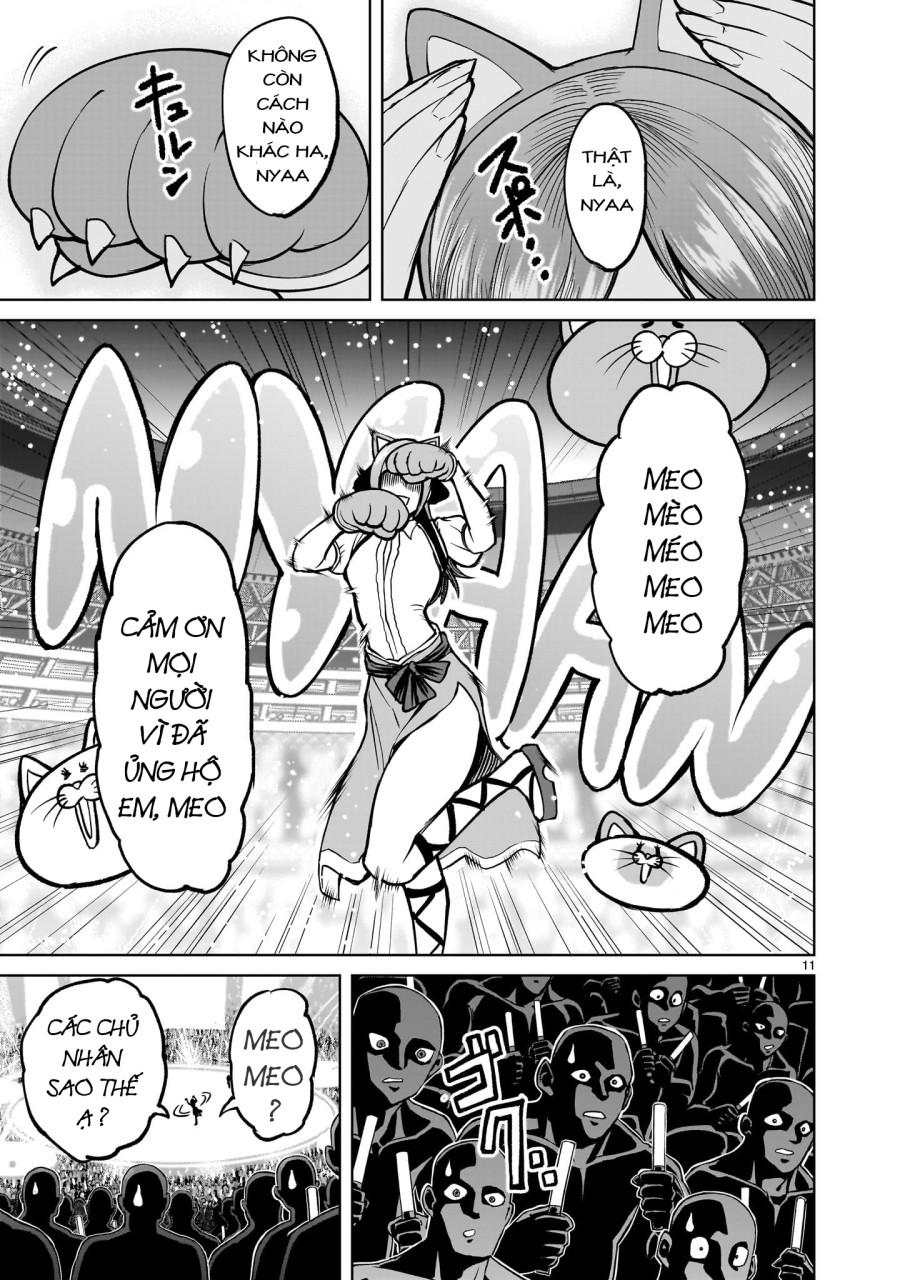 Vườn hoa hồng Saga 