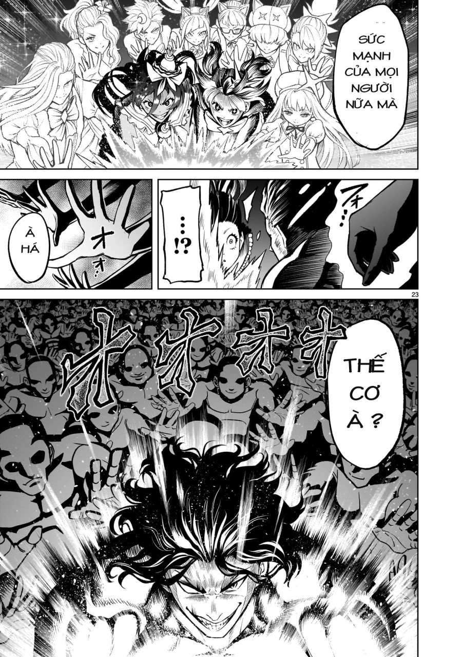 Vườn hoa hồng Saga 
