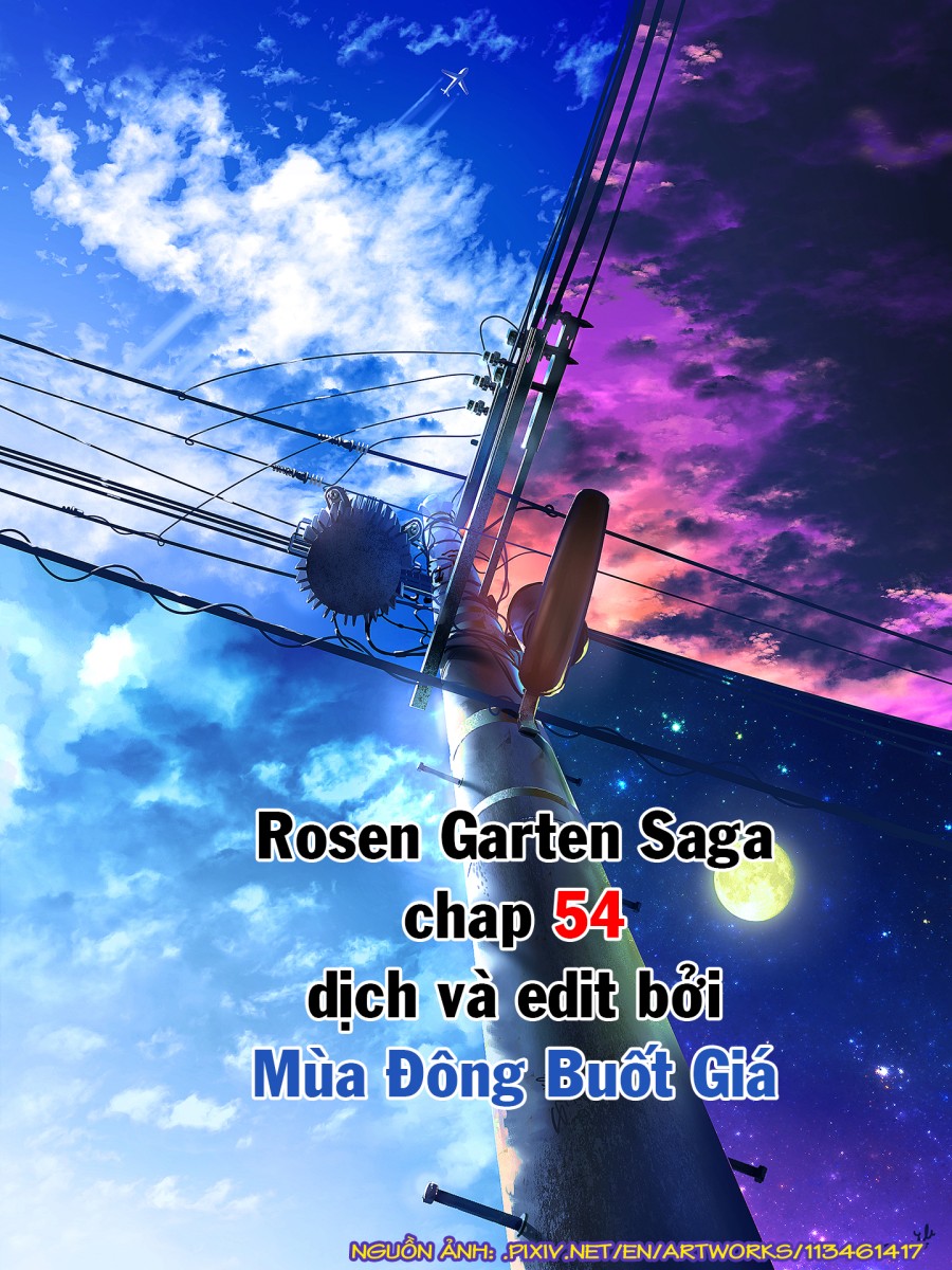 Vườn hoa hồng Saga 