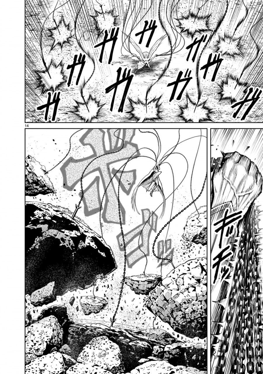 Vườn hoa hồng Saga 
