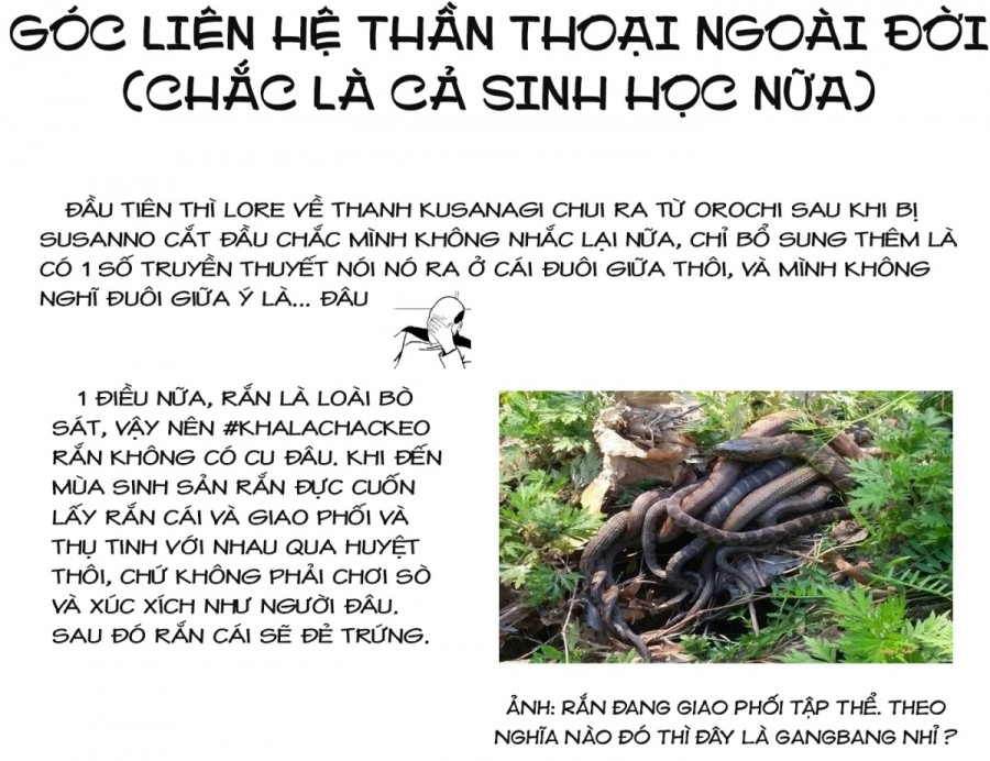 Vườn hoa hồng Saga 
