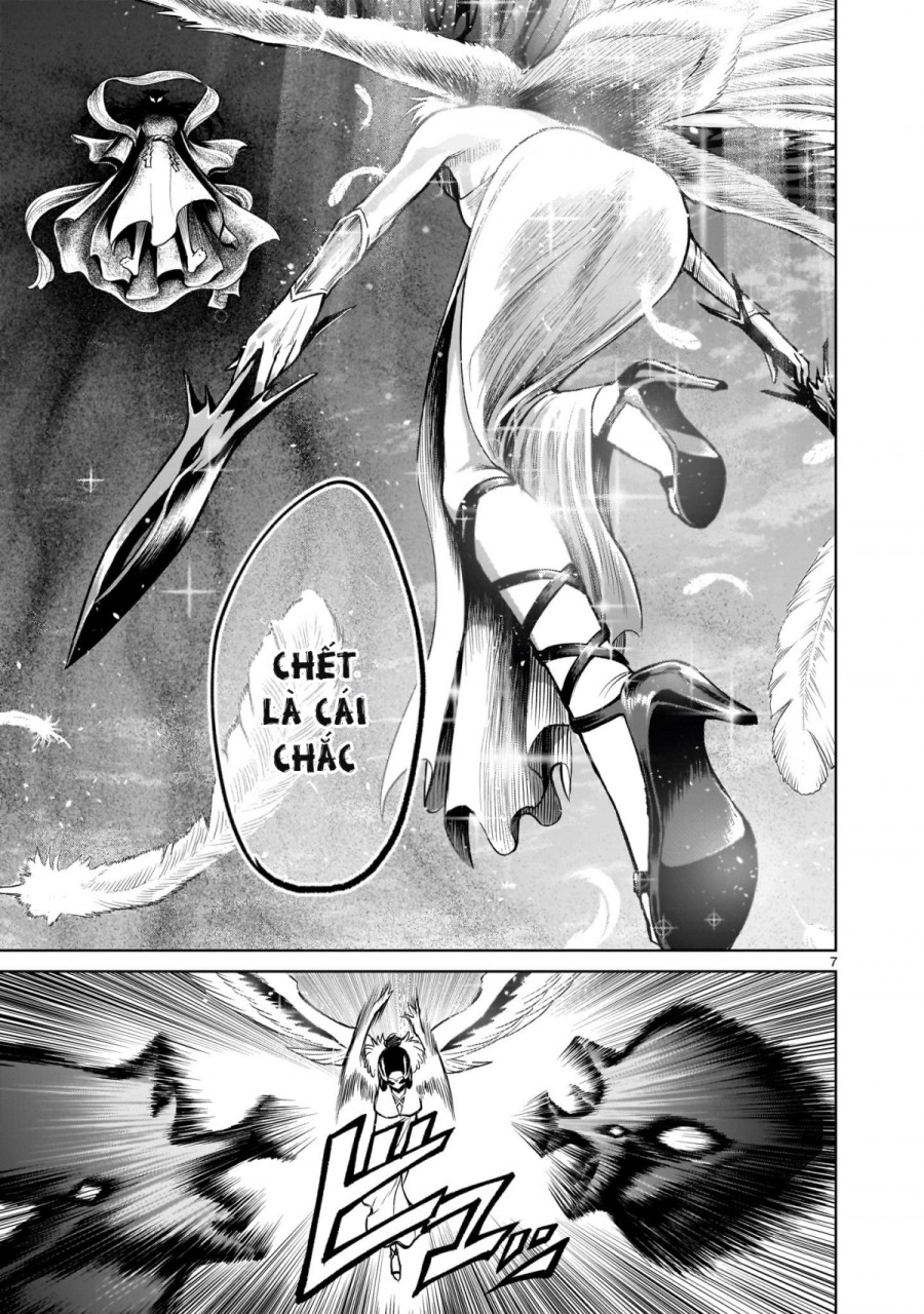 Vườn hoa hồng Saga 