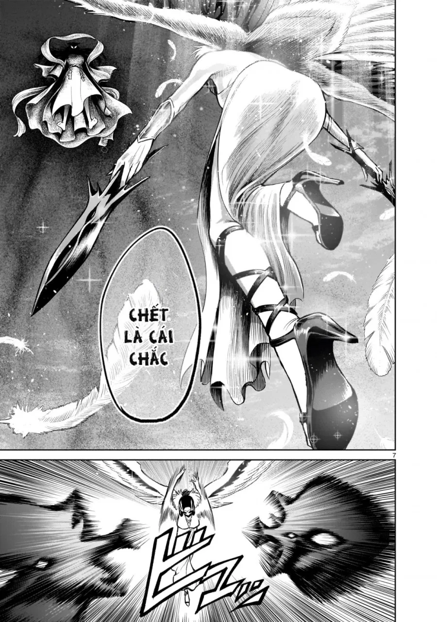 Vườn hoa hồng Saga 