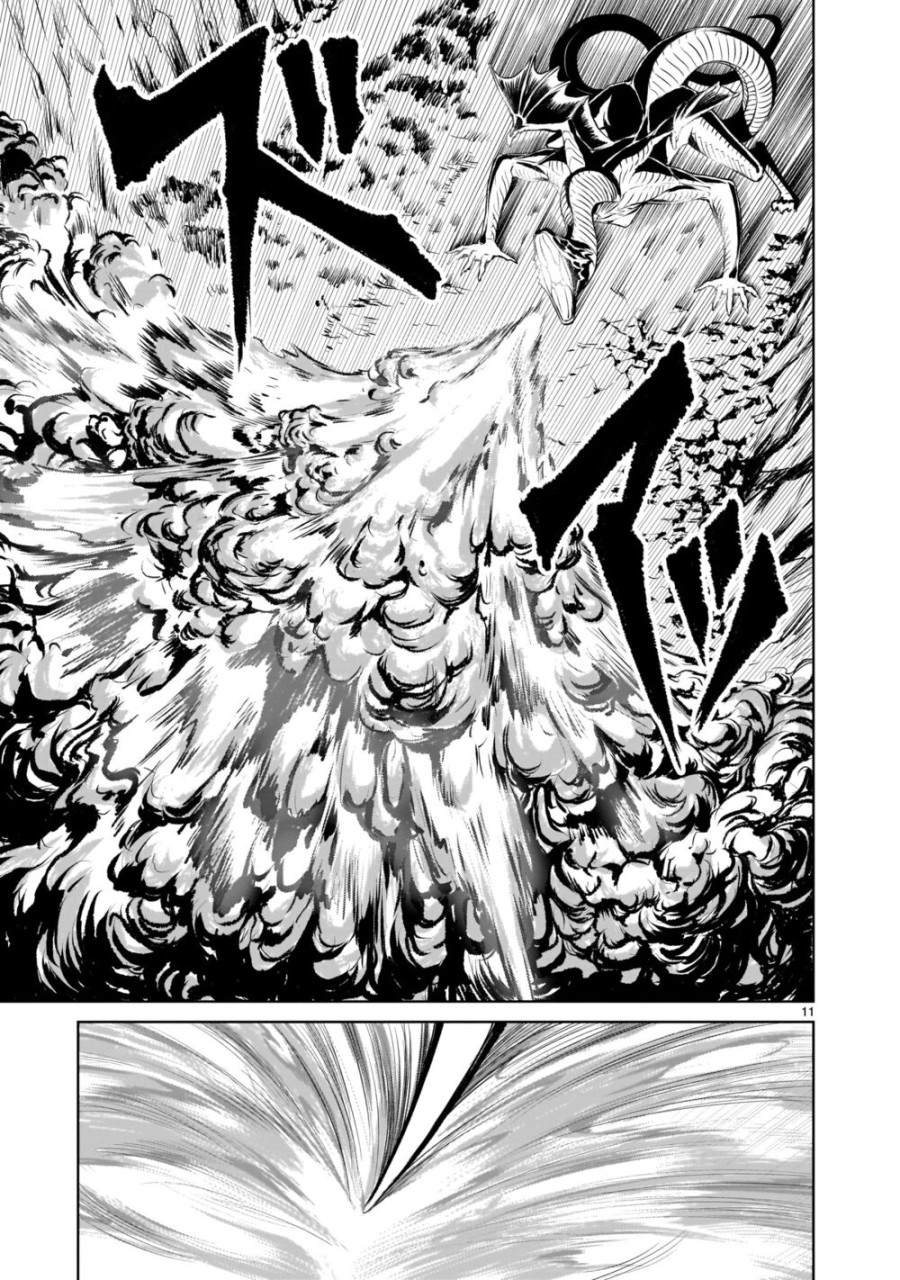 Vườn hoa hồng Saga 