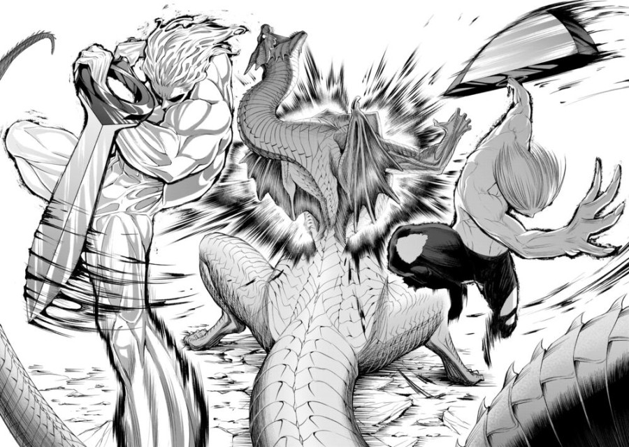 Vườn hoa hồng Saga 