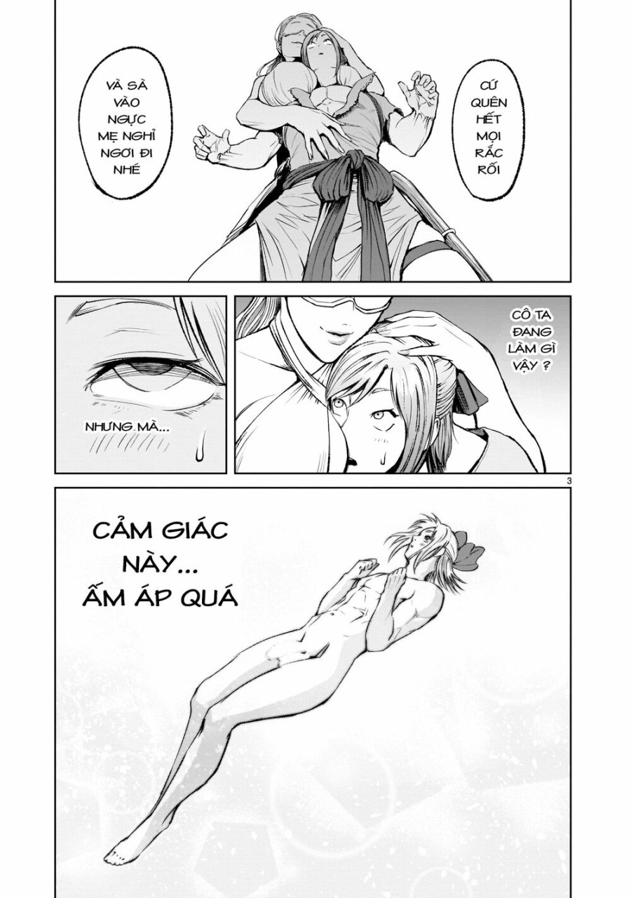 Vườn hoa hồng Saga 