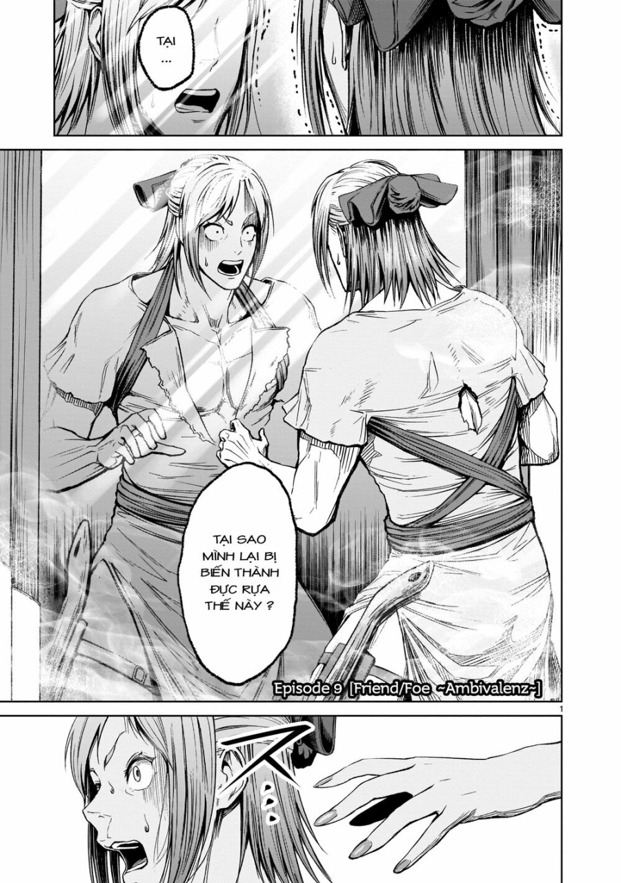 Vườn hoa hồng Saga 