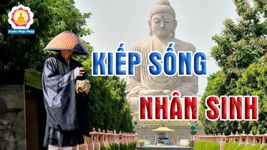 Trò chơi thụ tinh 