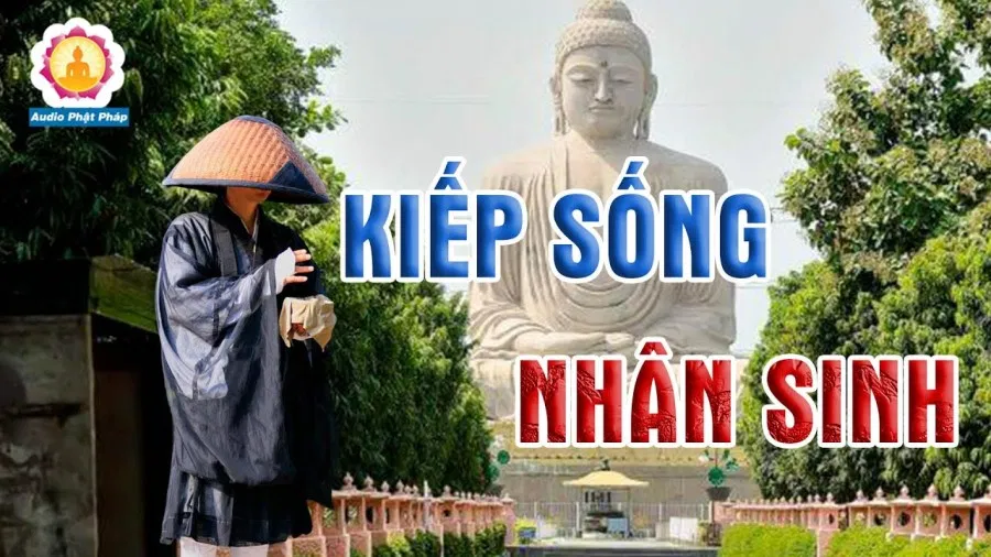 Trò chơi thụ tinh 