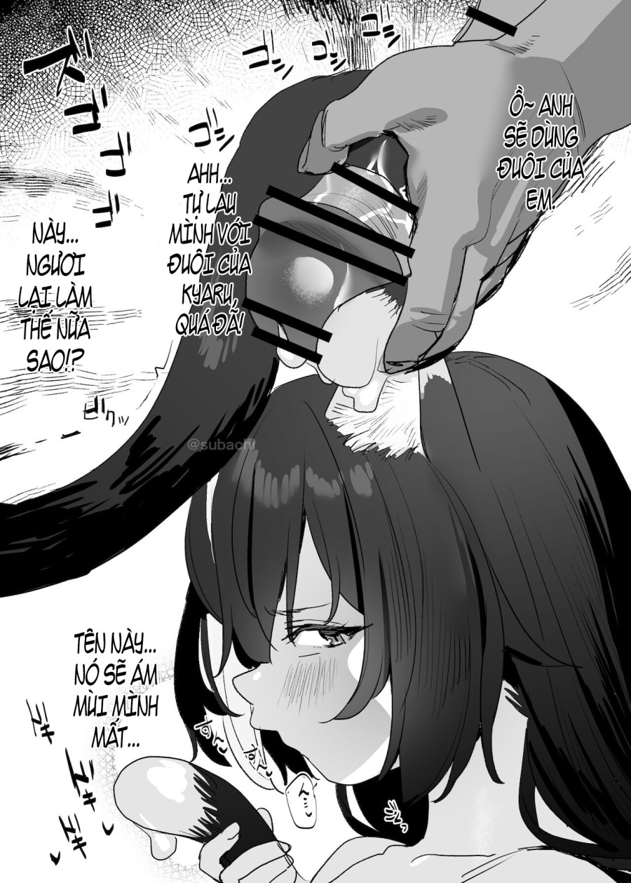 Kyaru-chan 