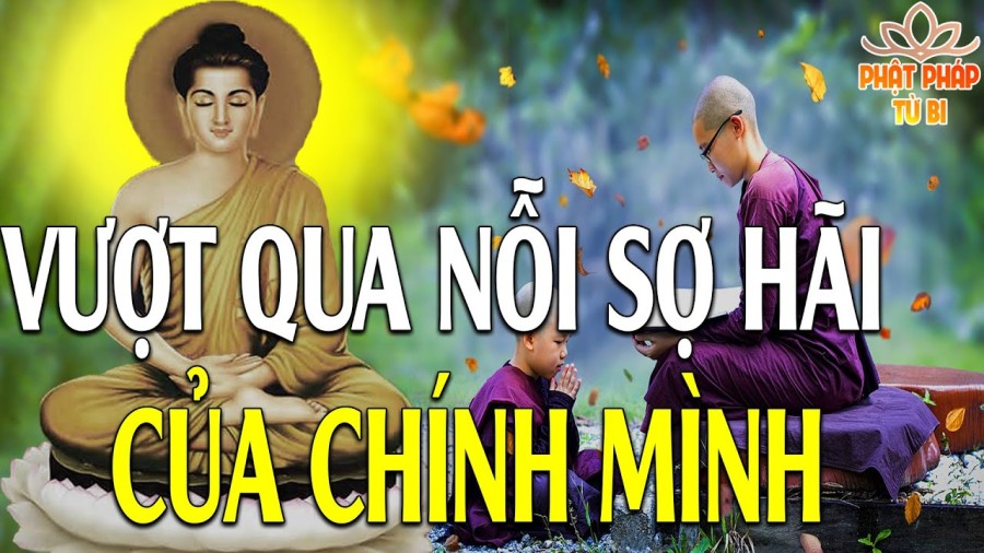 Thí nghiệm song sinh 