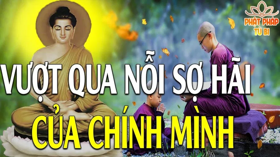 Thí nghiệm song sinh 