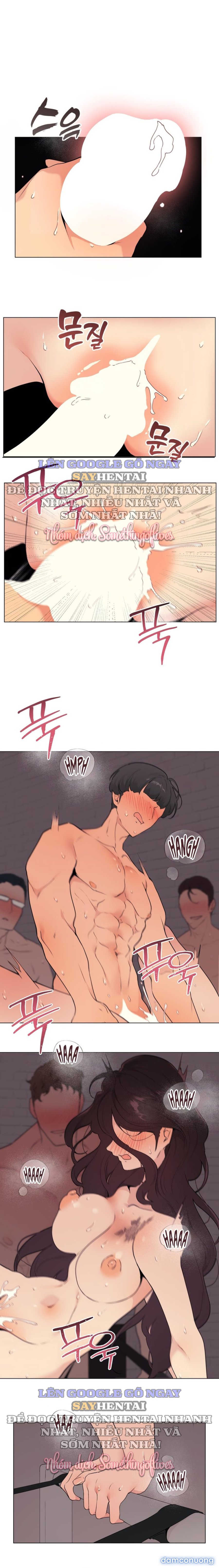 Kiểm Định Ghế Tình Yêu 