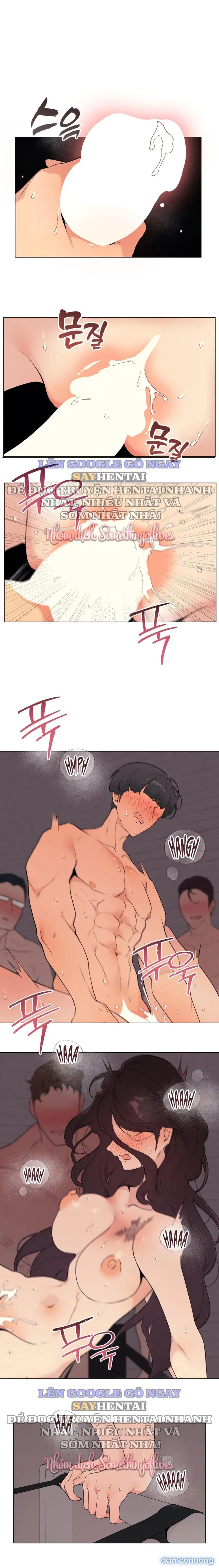 Kiểm Định Ghế Tình Yêu 