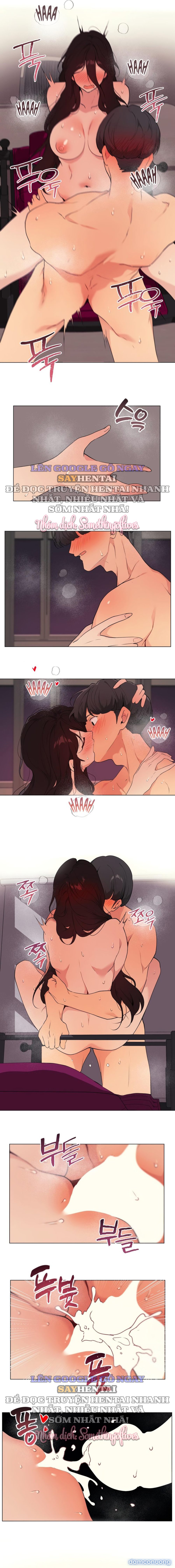 Kiểm Định Ghế Tình Yêu 