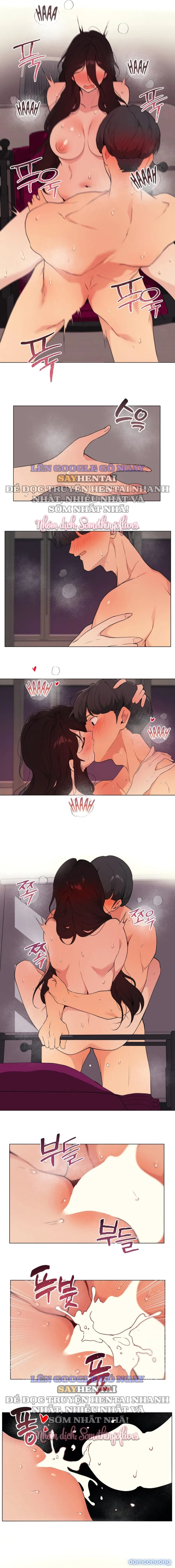 Kiểm Định Ghế Tình Yêu 