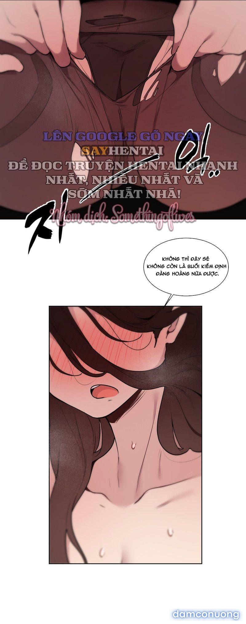 Kiểm Định Ghế Tình Yêu 