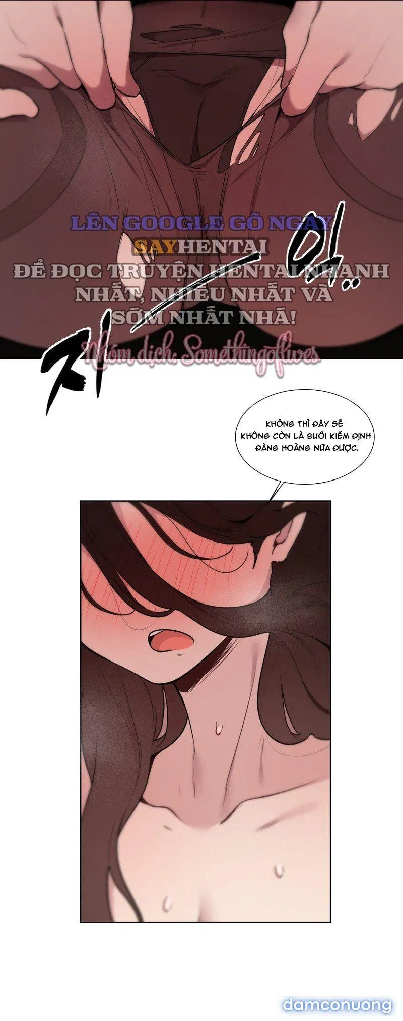 Kiểm Định Ghế Tình Yêu 