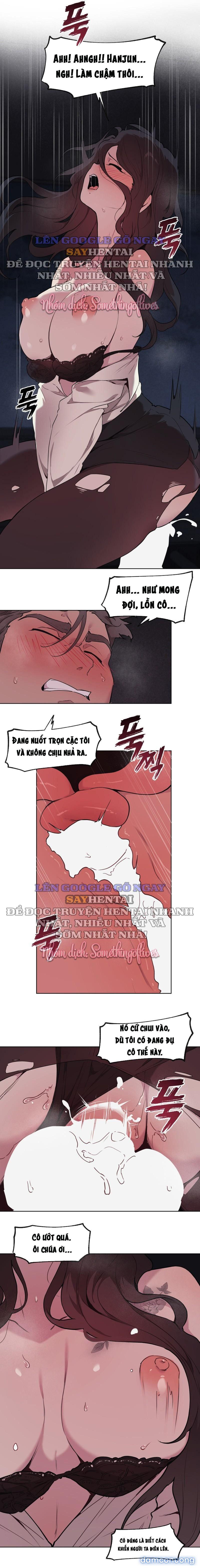 Kiểm Định Ghế Tình Yêu 