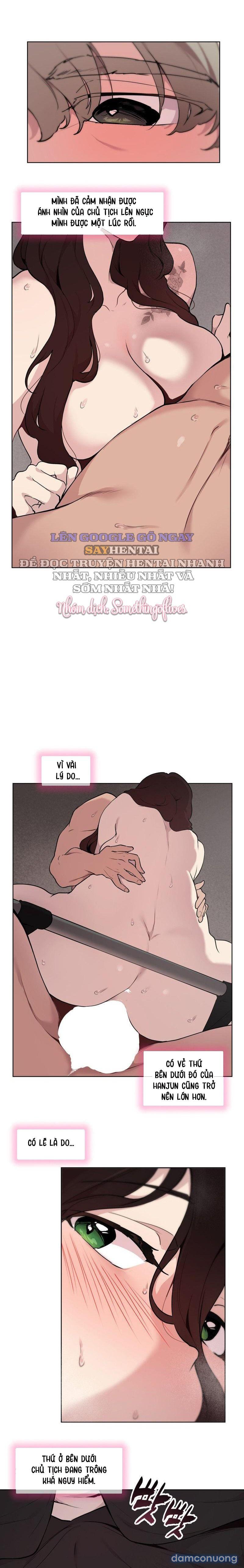 Kiểm Định Ghế Tình Yêu 