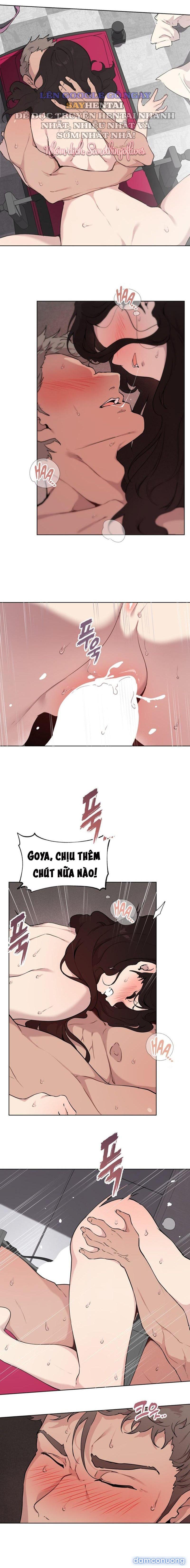 Kiểm Định Ghế Tình Yêu 