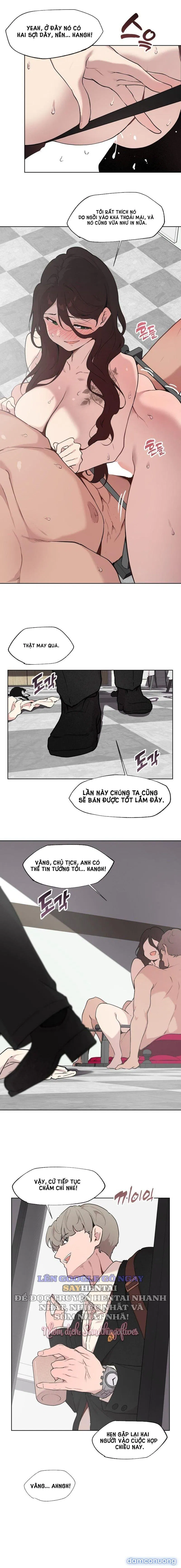 Kiểm Định Ghế Tình Yêu 