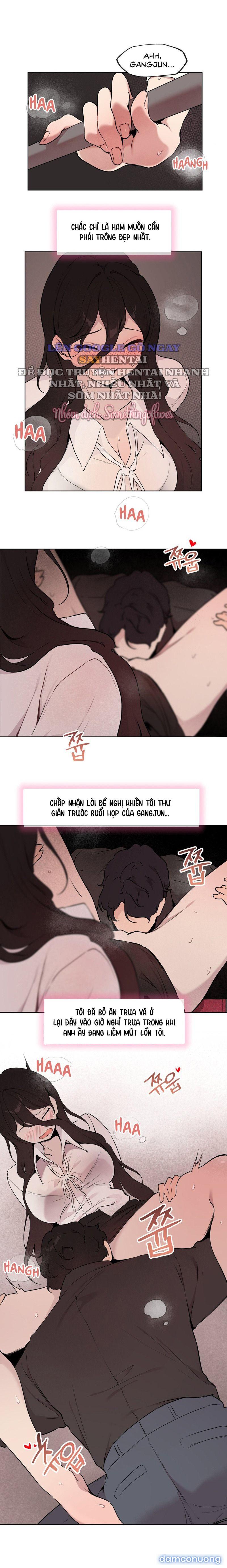 Kiểm Định Ghế Tình Yêu 