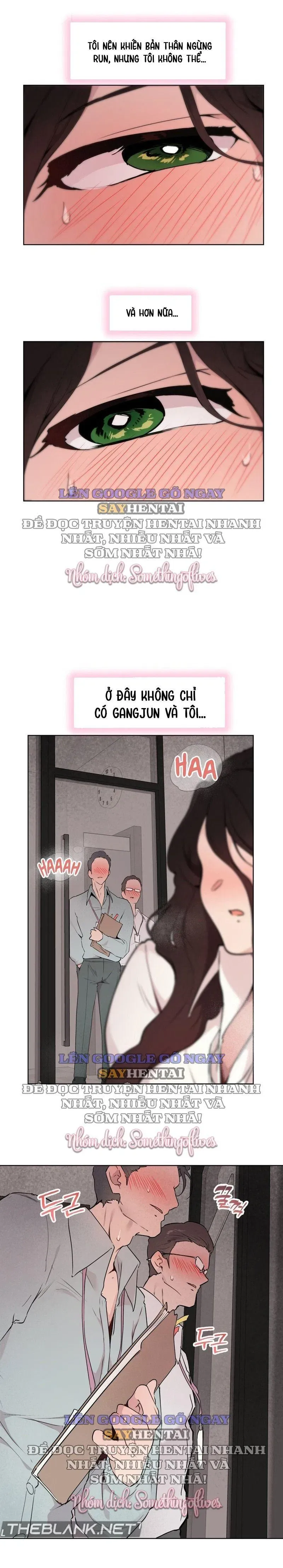 Kiểm Định Ghế Tình Yêu 