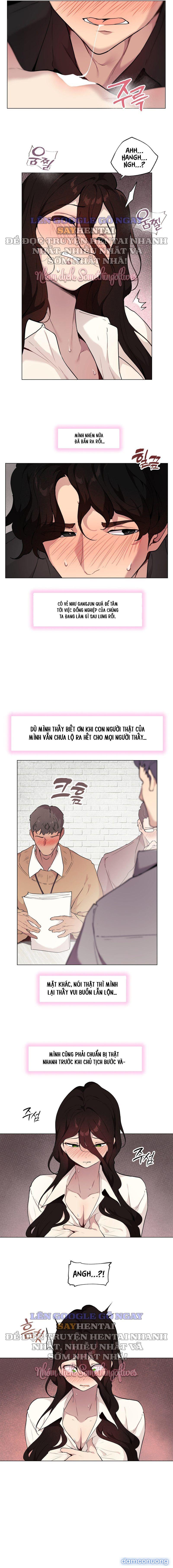 Kiểm Định Ghế Tình Yêu 