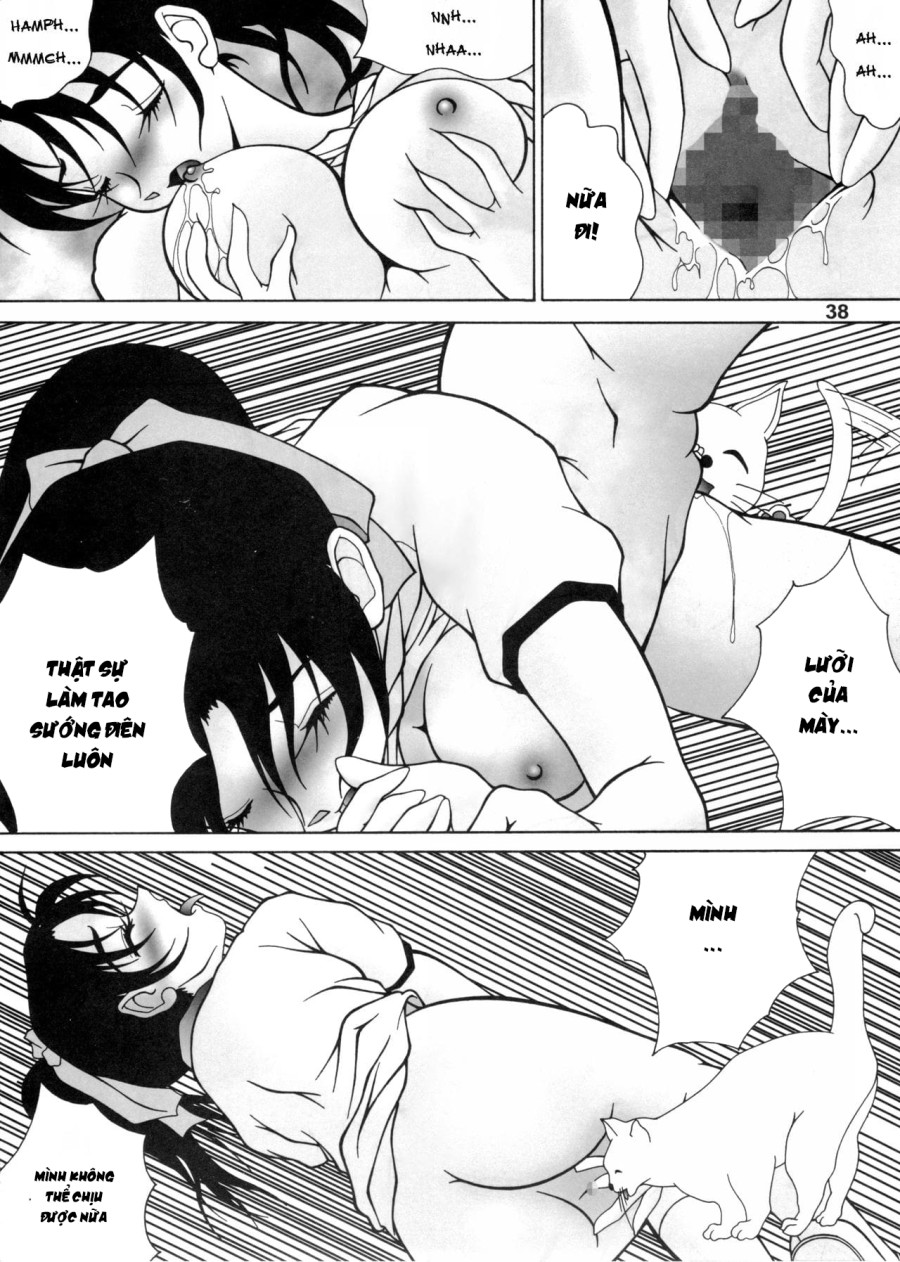 Potemayo vol. 5 (Thám tử Conan) 
