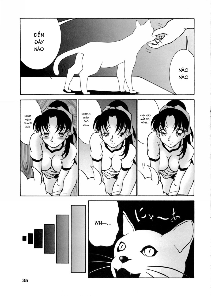 Potemayo vol. 5 (Thám tử Conan) 