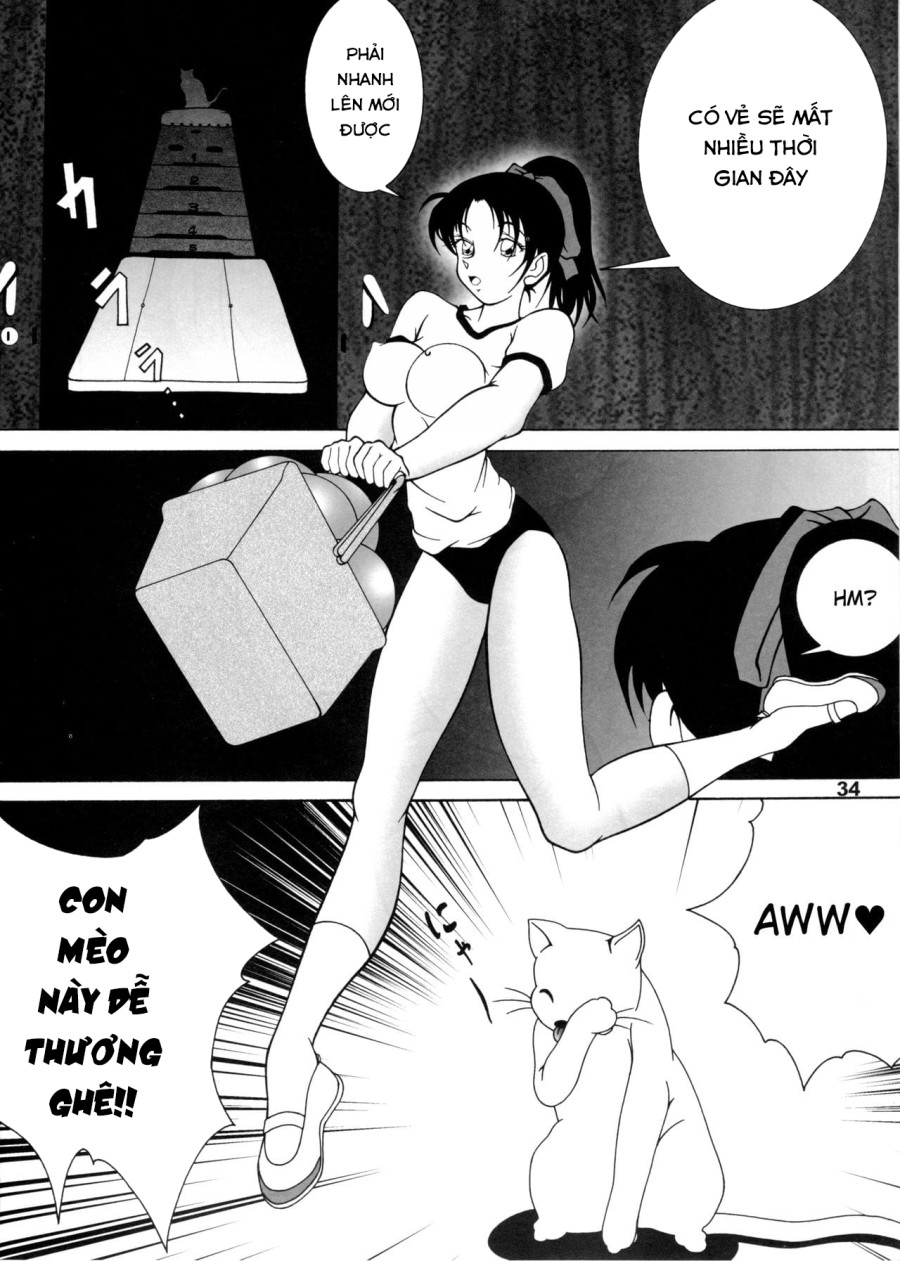 Potemayo vol. 5 (Thám tử Conan) 