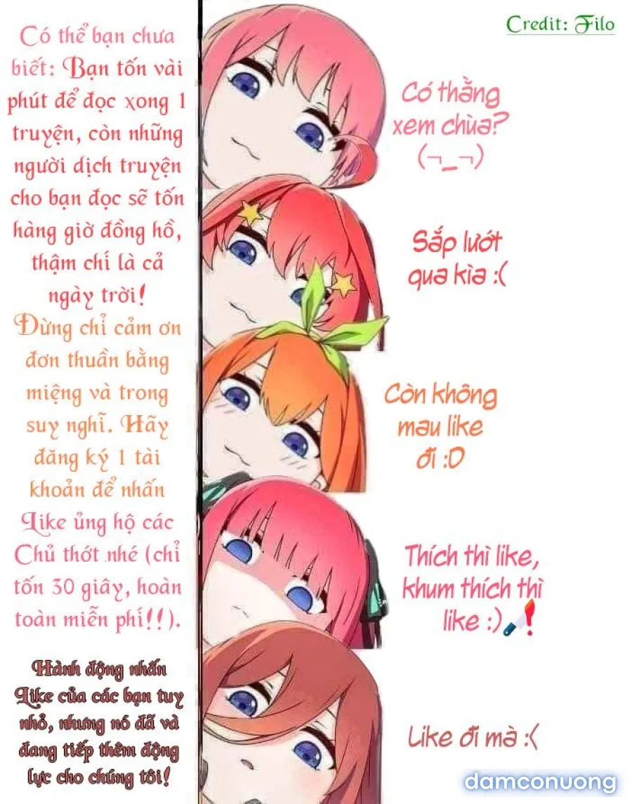 Đội bơi lội 