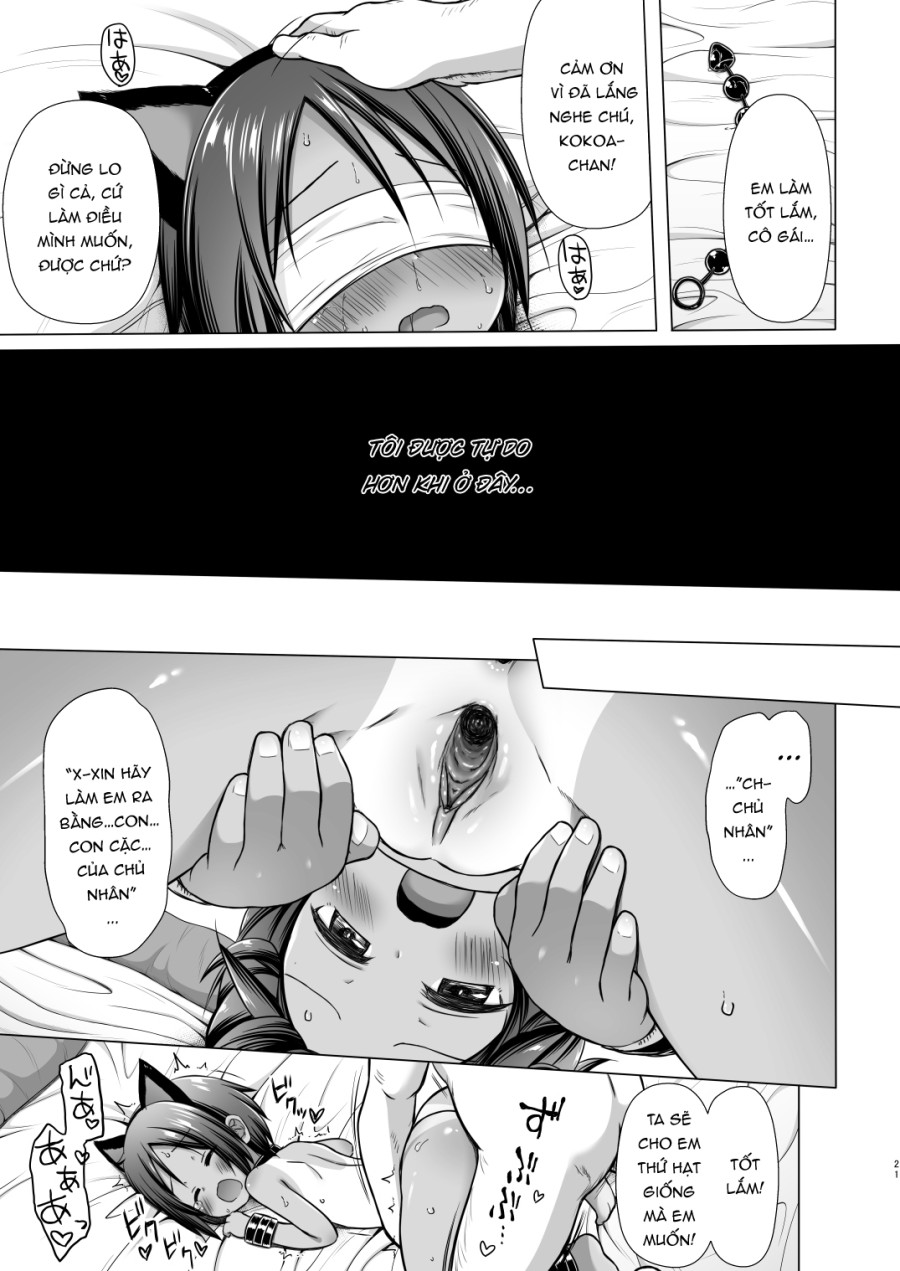 Kokoa-chan chi no jijou 