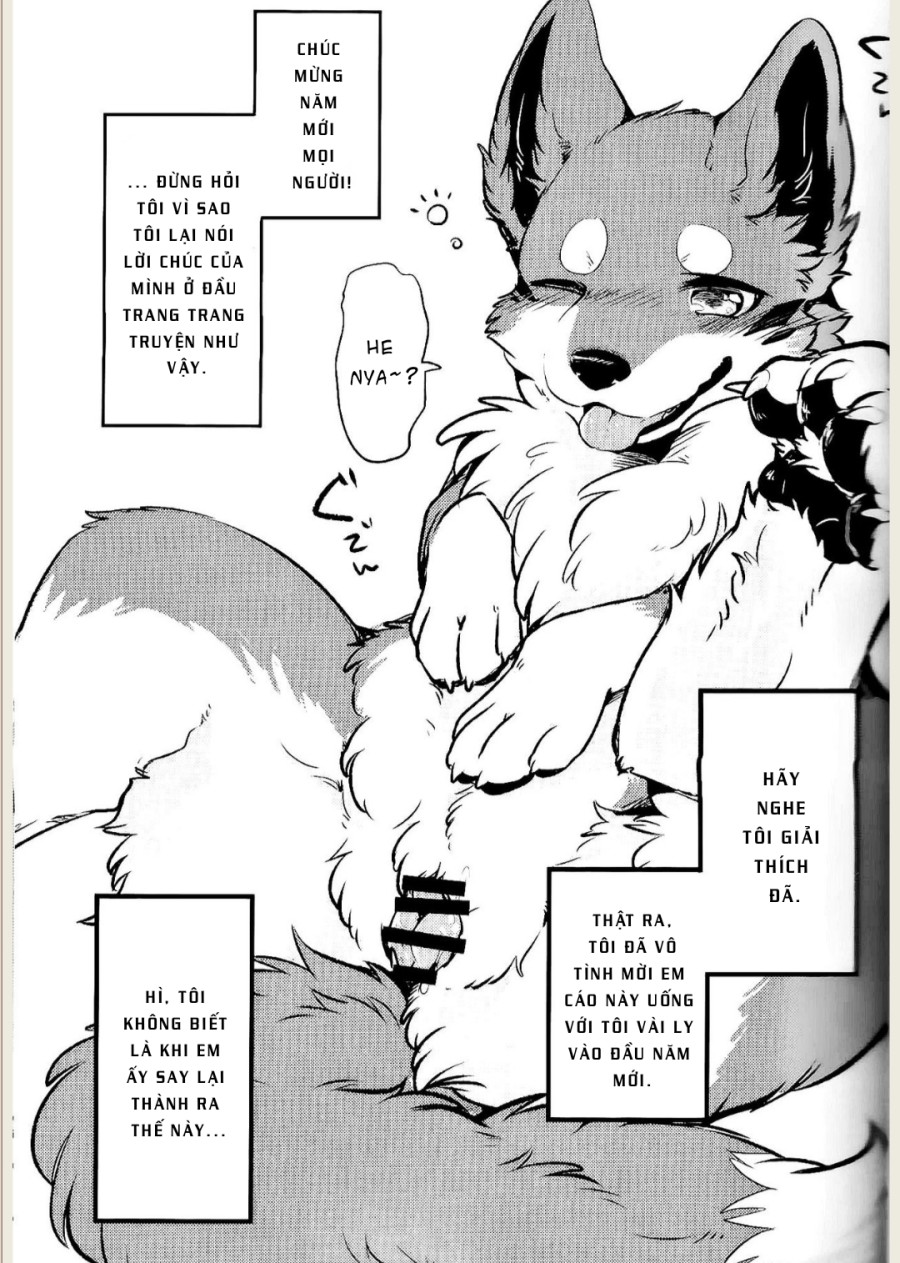 Kitsuneinu ni Nomaso 