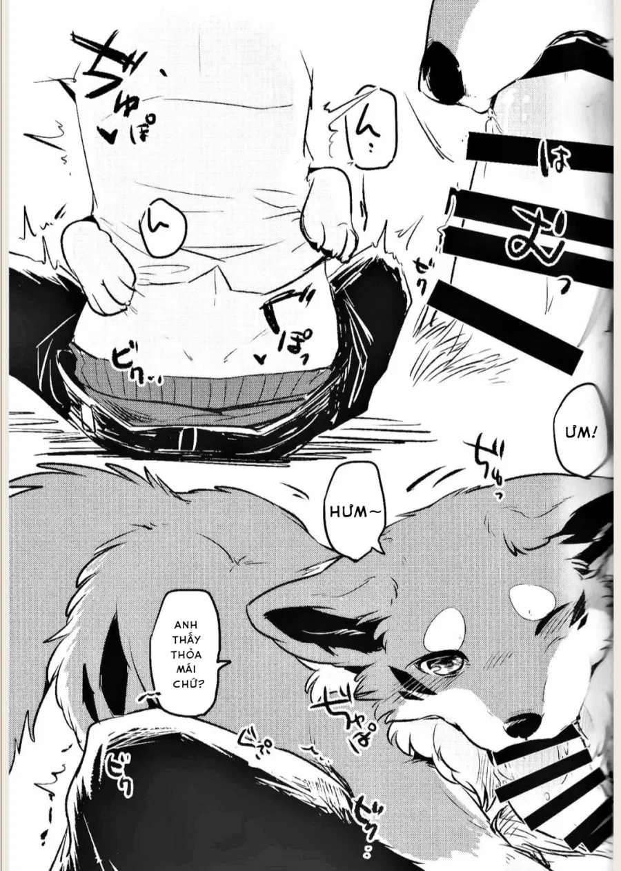 Kitsuneinu ni Nomaso 