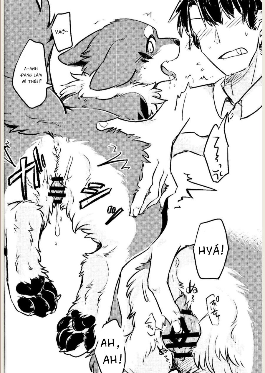Kitsuneinu ni Nomaso 