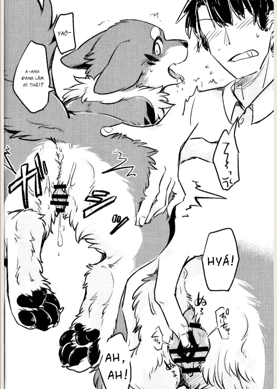 Kitsuneinu ni Nomaso 